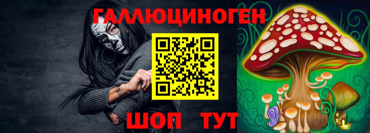 Галлюциногенные грибы Psilocybine cubensis Видное